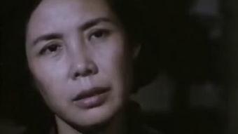 国产81视频在线观看,在线观看的视听盛宴