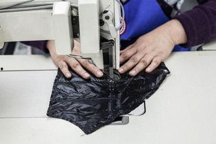 国产加拿大鹅开箱视频