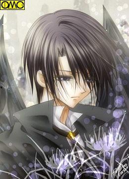 国产动漫现代帅哥视频在线观看,国产动漫现代帅哥集结，在线观看盛宴来袭！