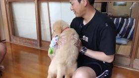 国产小视频.zip,揭秘国内短视频领域的魅力与趋势