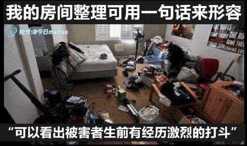 国产鸡脖视频观看,探寻美味背后的故事