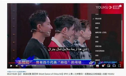 醉红楼国产精品一线视频,国产精品一线视频，沉浸式体验古典风情