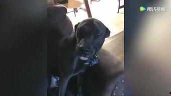 吃国产东西的视频,跟随视频探索国产美食之旅